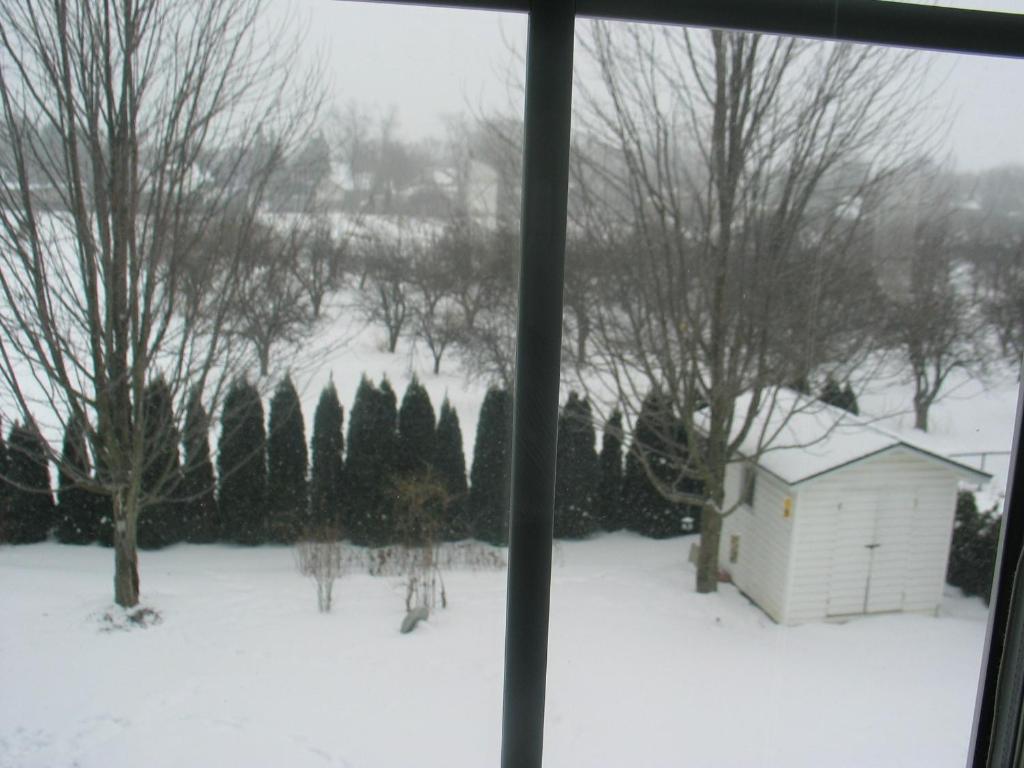 Bed and Breakfast Arnica Bed & Breakfast Niagara-on-the-Lake Екстер'єр фото